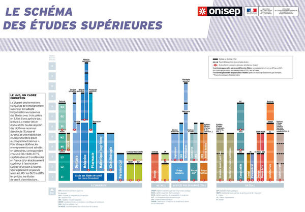 Esquema de los estudios superiores